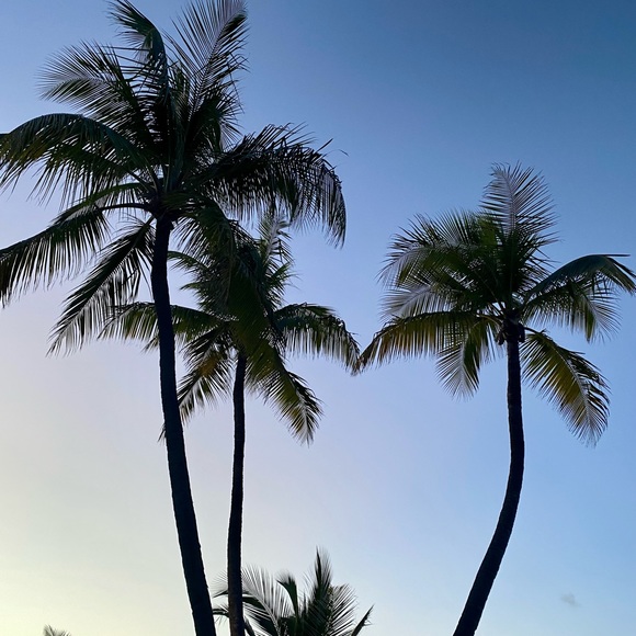 Meet your Posher - Picture 1 of 1